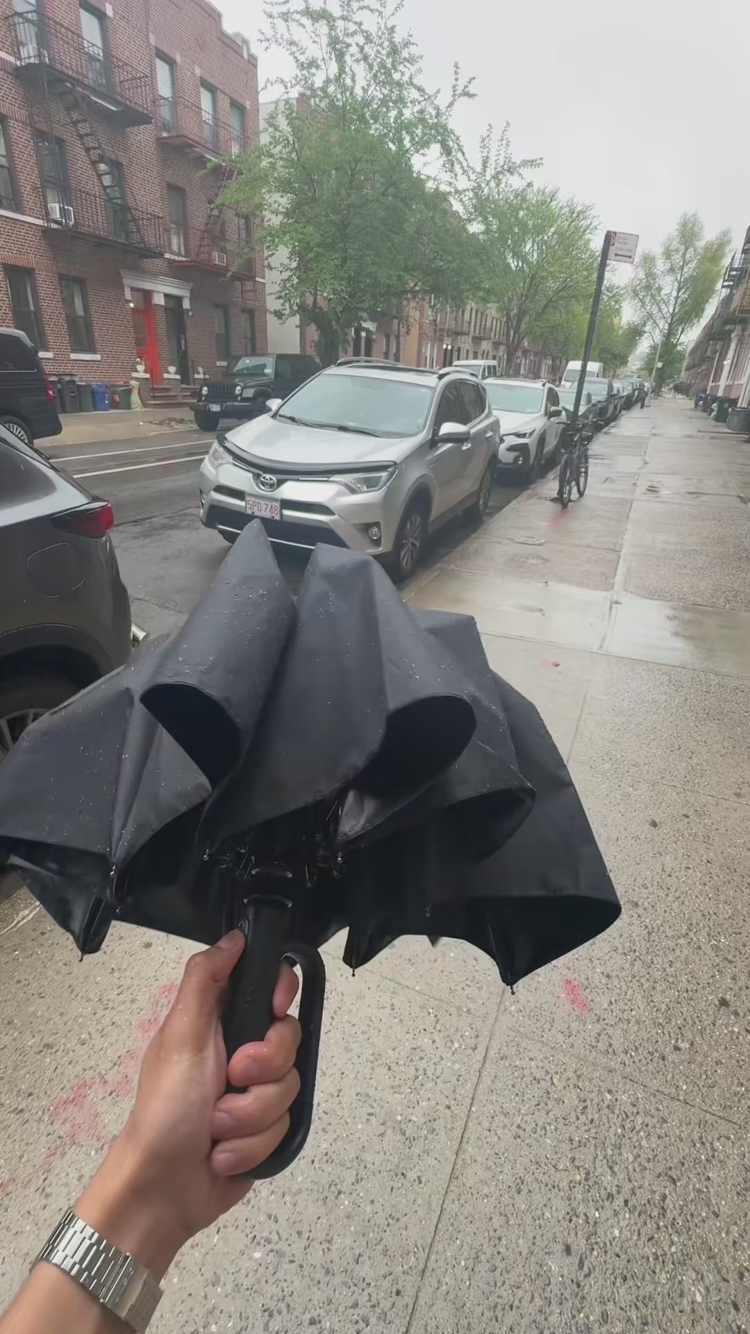 Cenro™ - Premium Automatic Umbrella video